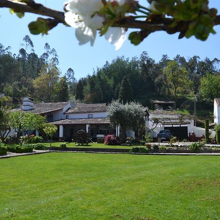Quintal De Alem Do Ribeiro-Turismo Rural Lousã Zewnętrze zdjęcie