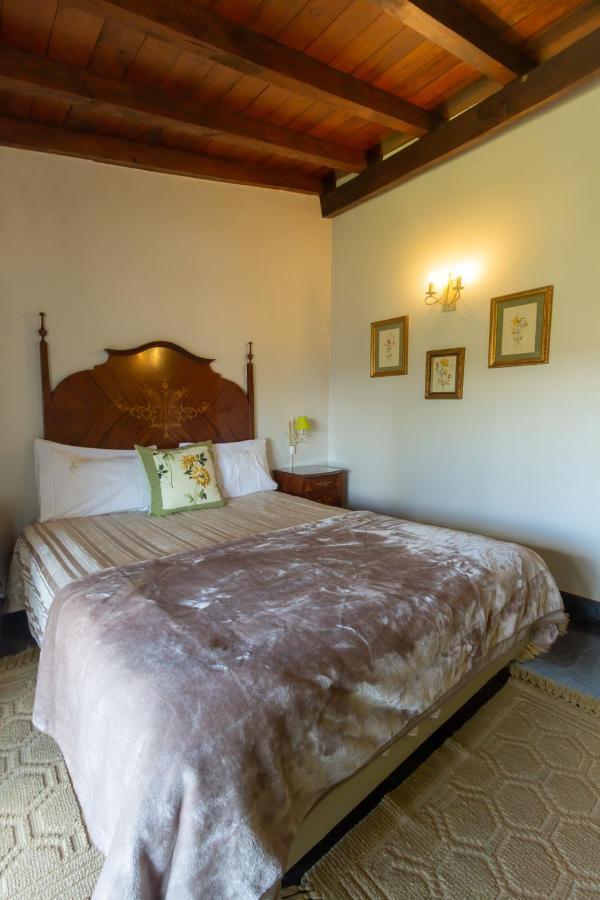 Quintal De Alem Do Ribeiro-Turismo Rural Lousã Zewnętrze zdjęcie
