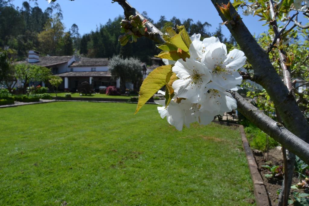 Quintal De Alem Do Ribeiro-Turismo Rural Lousã Zewnętrze zdjęcie