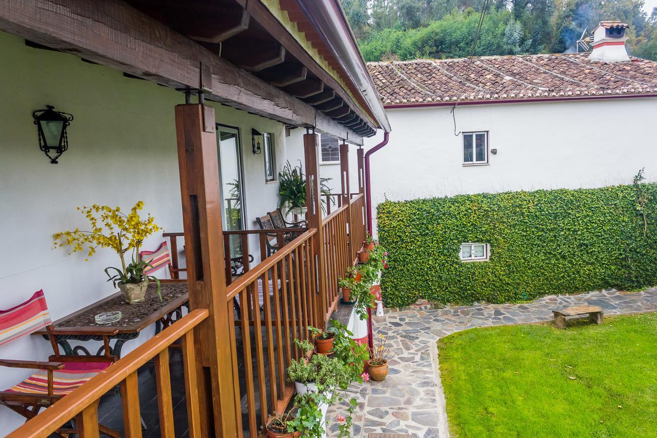 Quintal De Alem Do Ribeiro-Turismo Rural Lousã Zewnętrze zdjęcie
