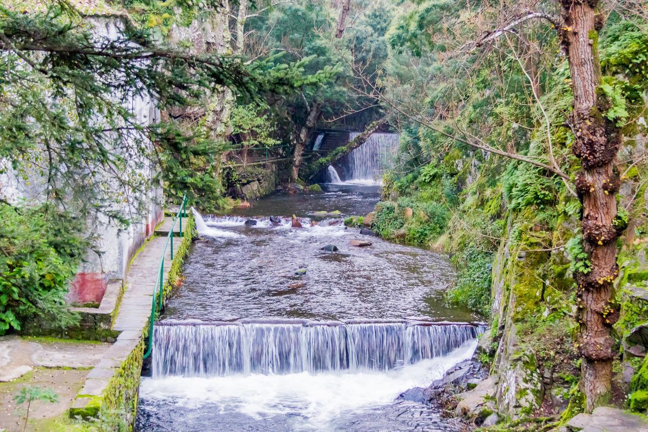 Quintal De Alem Do Ribeiro-Turismo Rural Lousã Zewnętrze zdjęcie