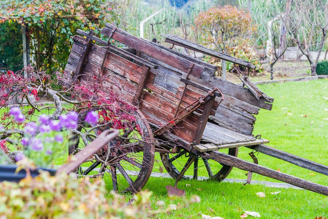 Quintal De Alem Do Ribeiro-Turismo Rural Lousã Zewnętrze zdjęcie