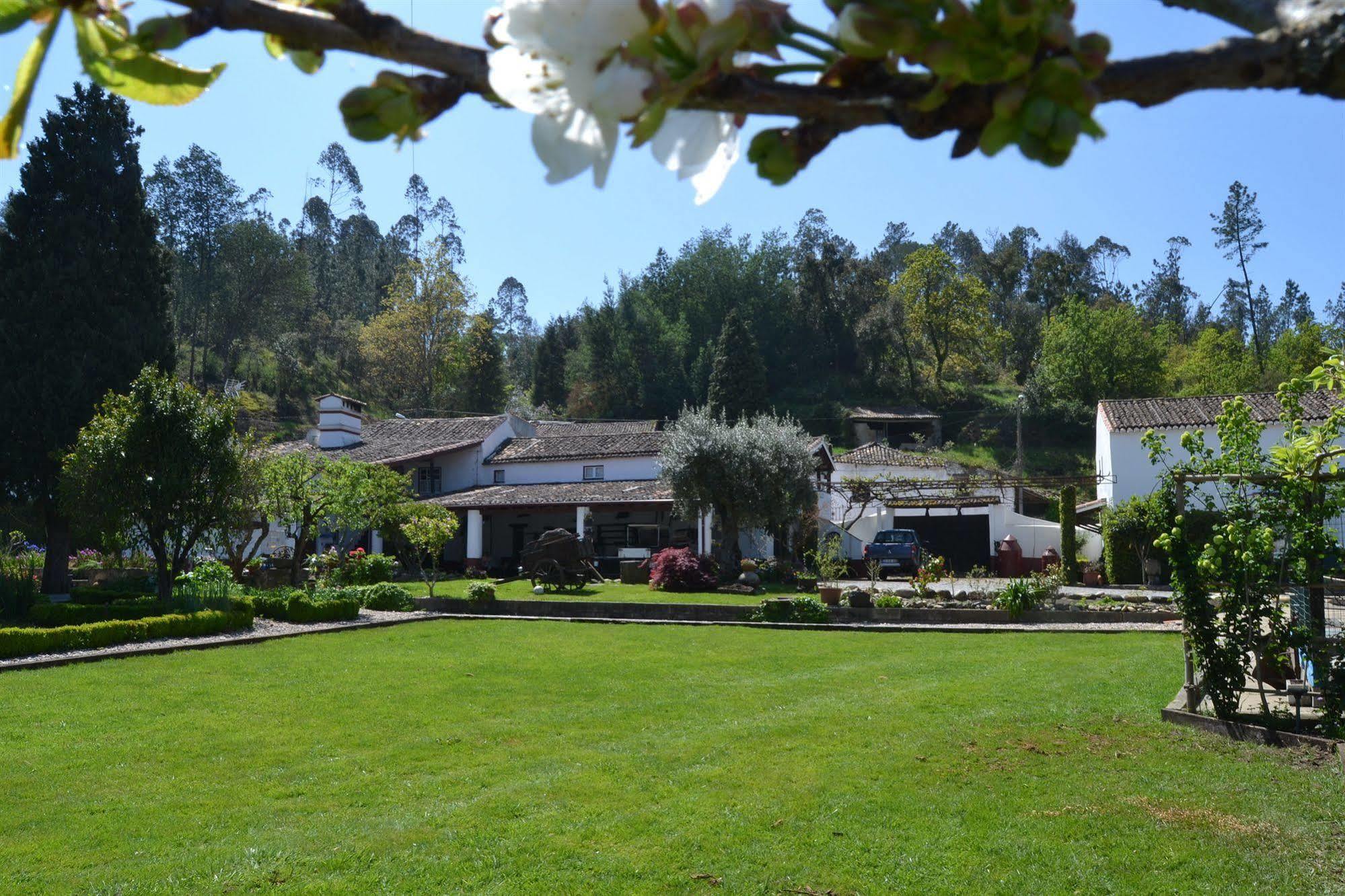 Quintal De Alem Do Ribeiro-Turismo Rural Lousã Zewnętrze zdjęcie