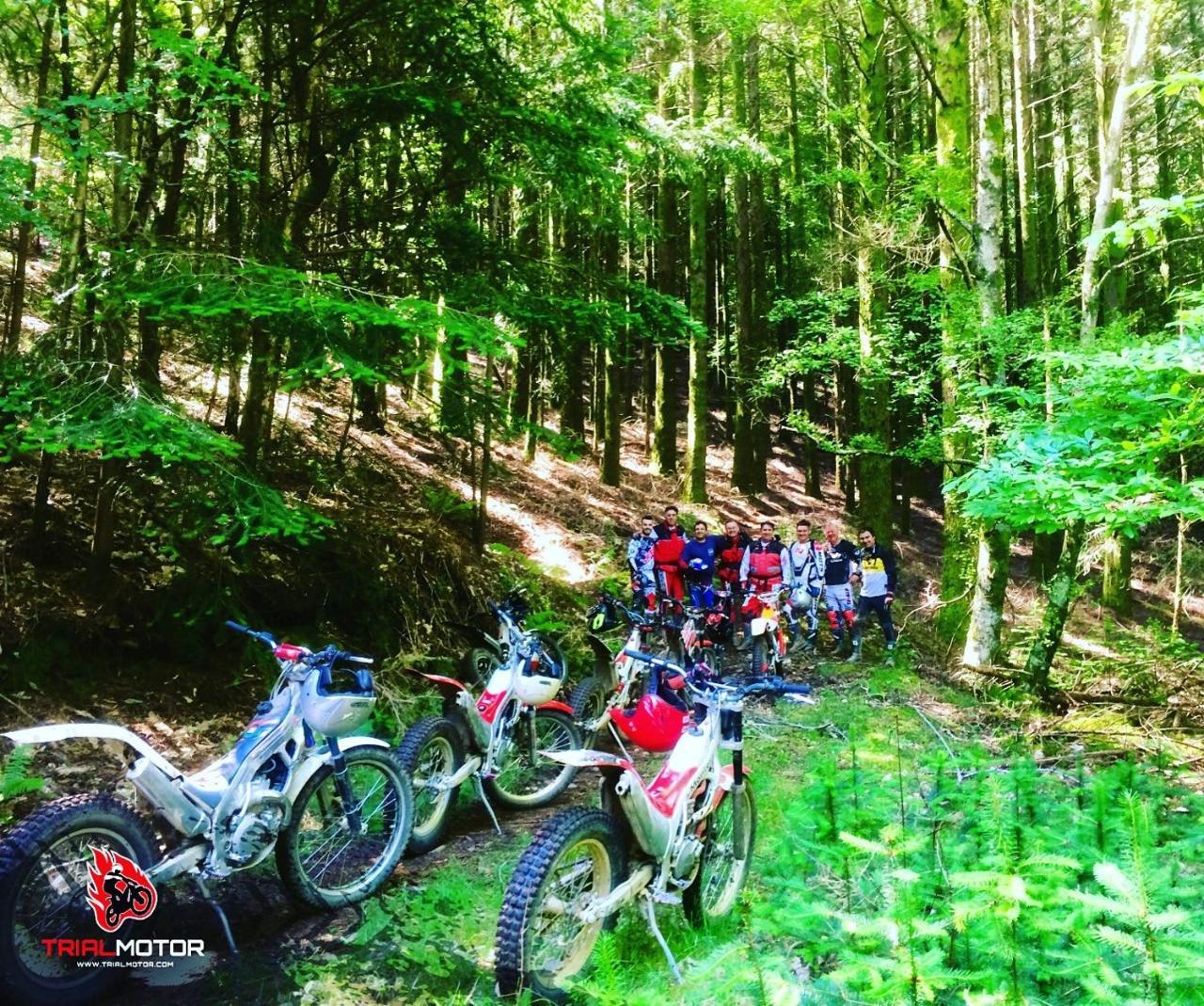 Quintal De Alem Do Ribeiro-Turismo Rural Lousã Zewnętrze zdjęcie